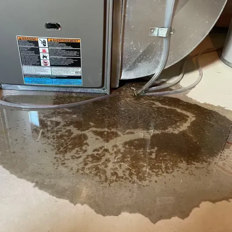 Appliance Leak Cleanup in Hillsboro, MO